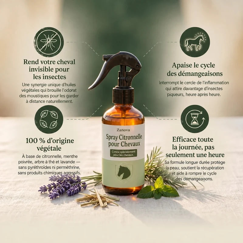 Zanova - Spray naturel anti-insectes pour chevaux et poneys